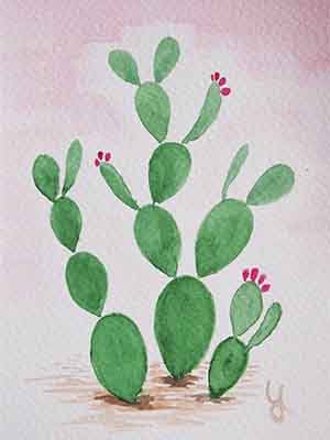 cactus